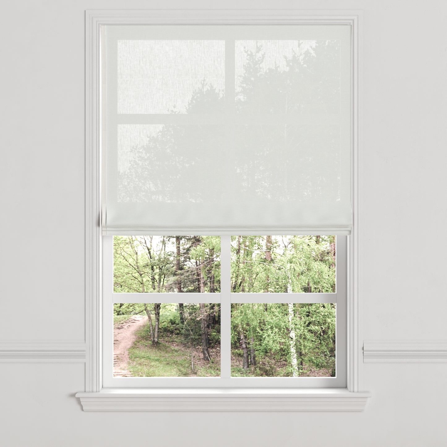 Flat Roman Shade in Sheer - Pearl