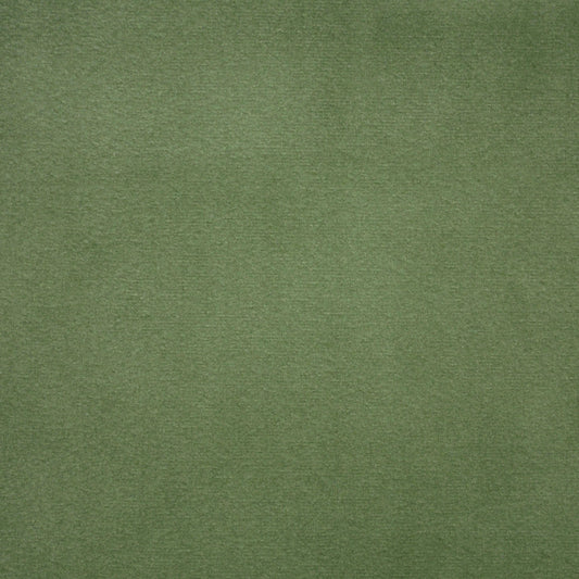 Euro Pleat Drapery in Classic Velvet - Aloe