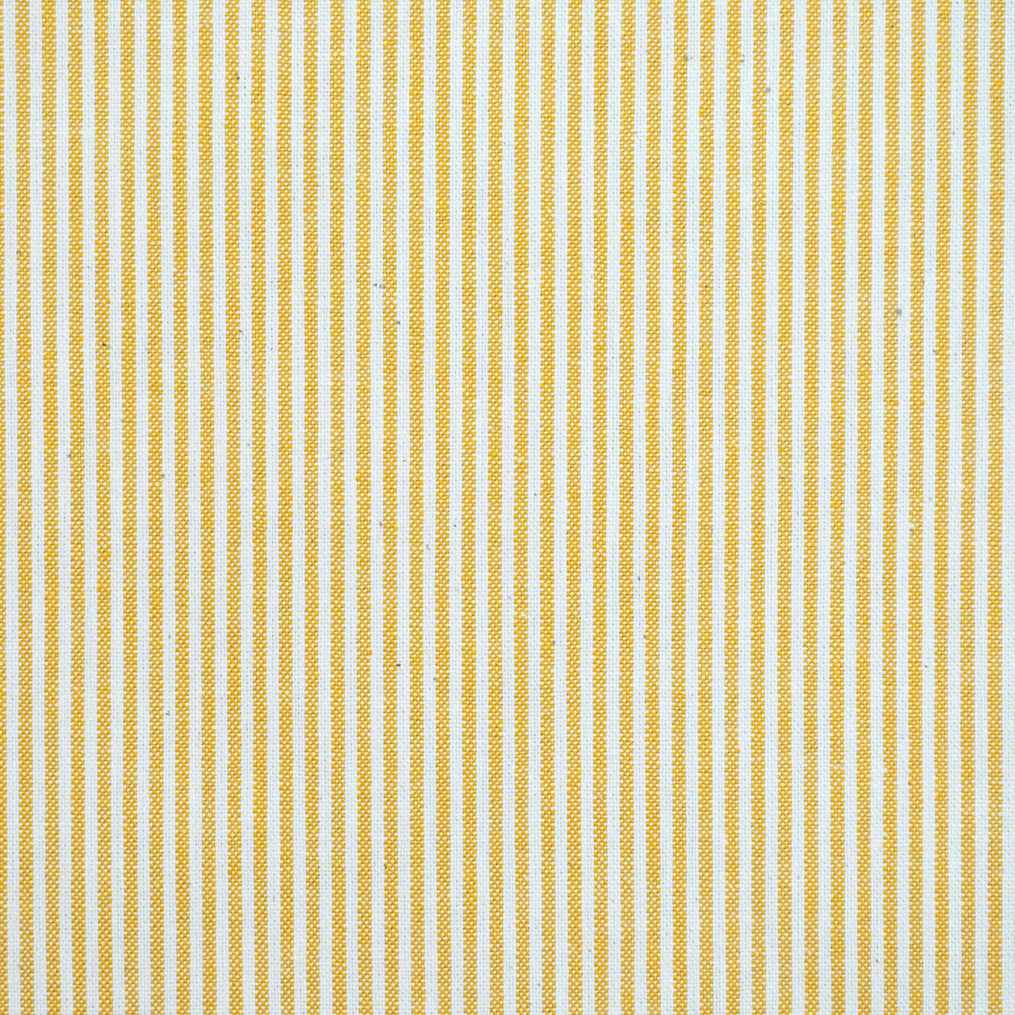 Baldwin - Goldenrod