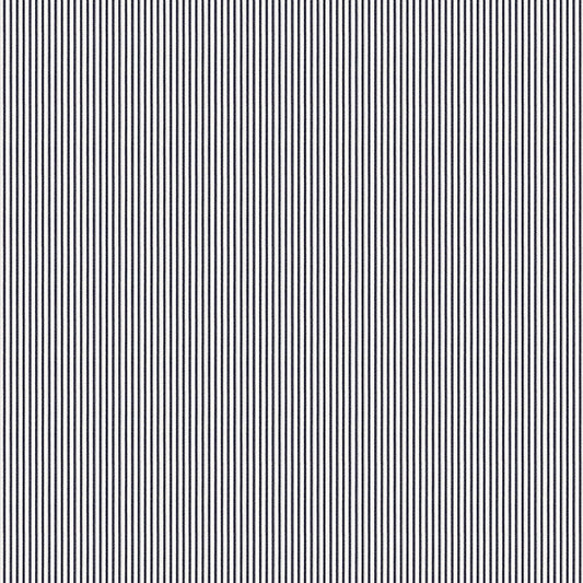 Little White Line - Black