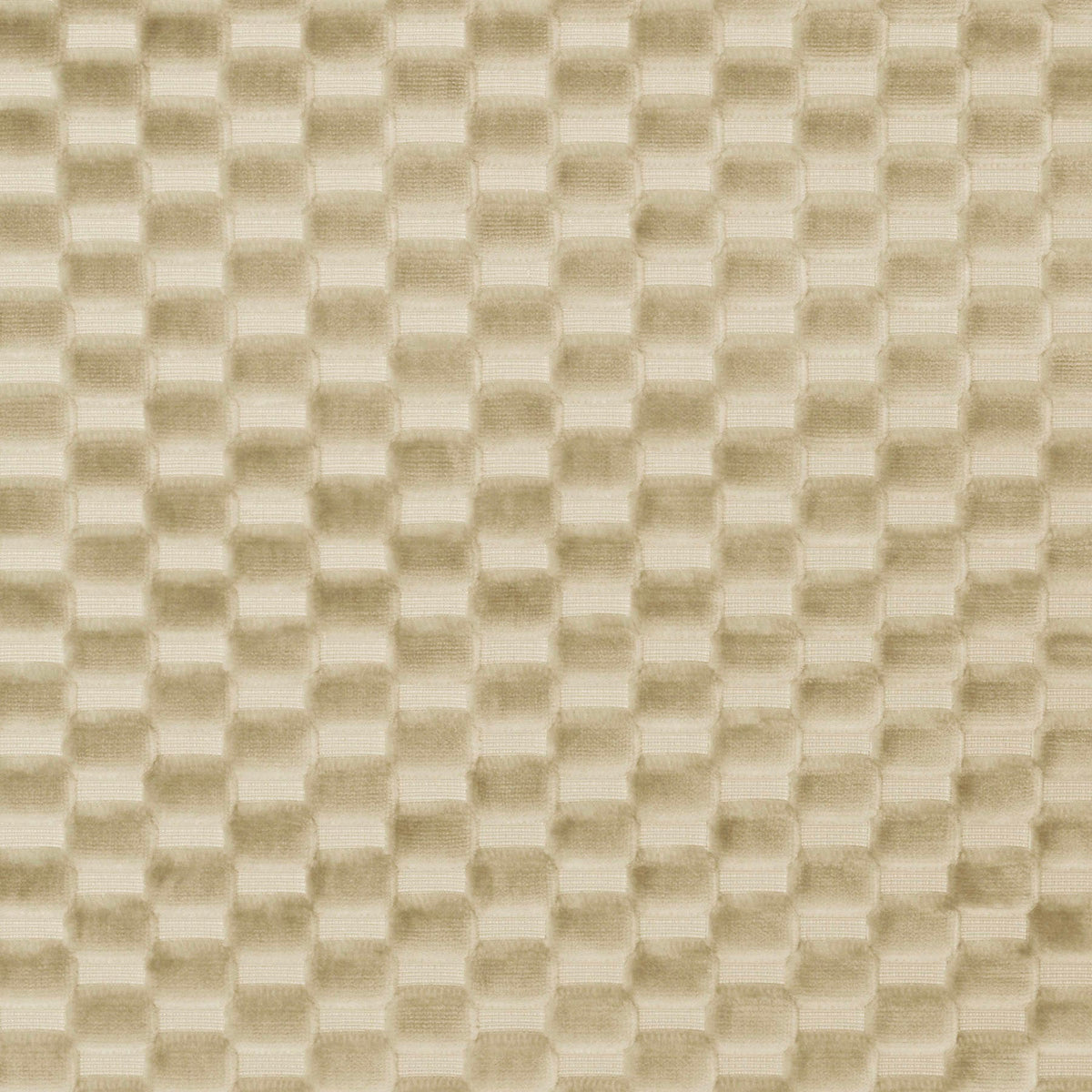 Neutral Fabrics