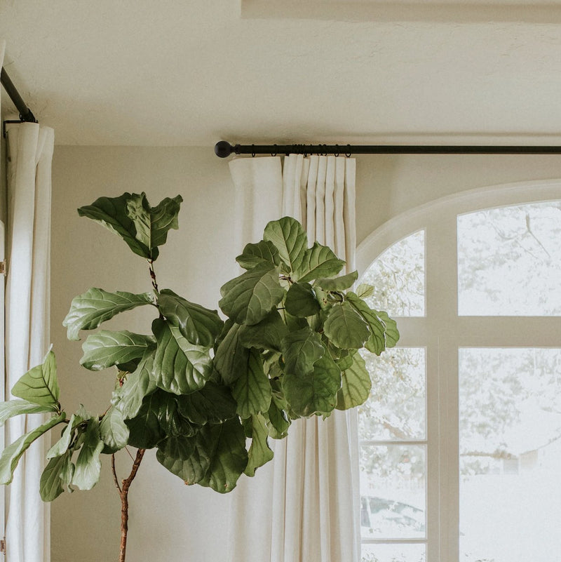 All Window Hardware