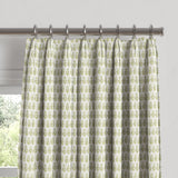 Euro Pleat Drapery in Leaf Me Alone - Vine