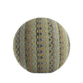 Circular Throw Pillow in Missing Link Agave