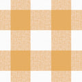 Buffalo Check - Sunny