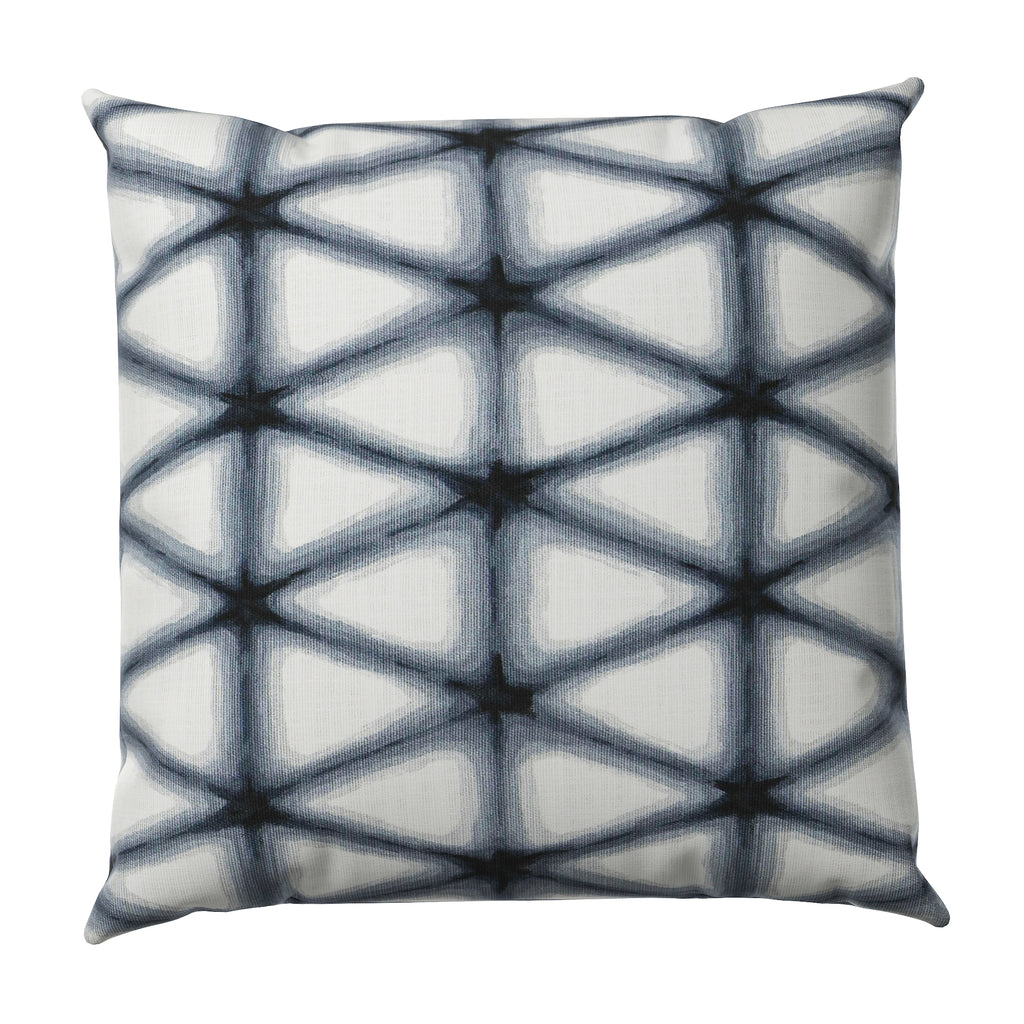 Throw Pillow in Point Taken - Ink