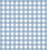 Gingham - Blue Jean