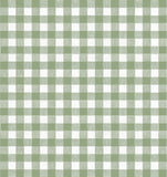 Gingham - Sage