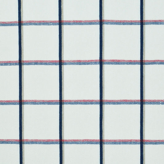 Ripplefold Drapery in Check With Me - White