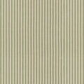 Little White Line - Sage