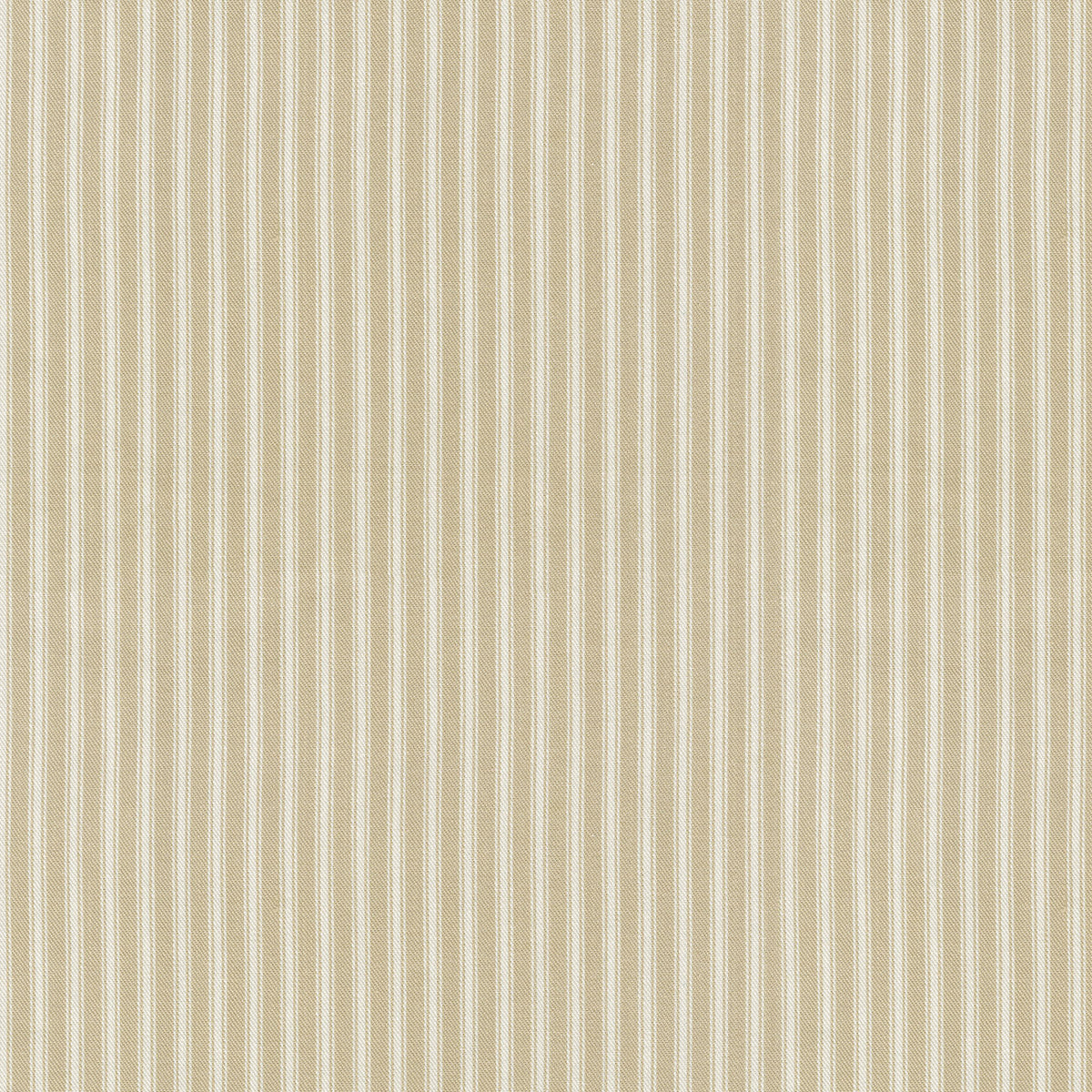 Little White Line - Sand