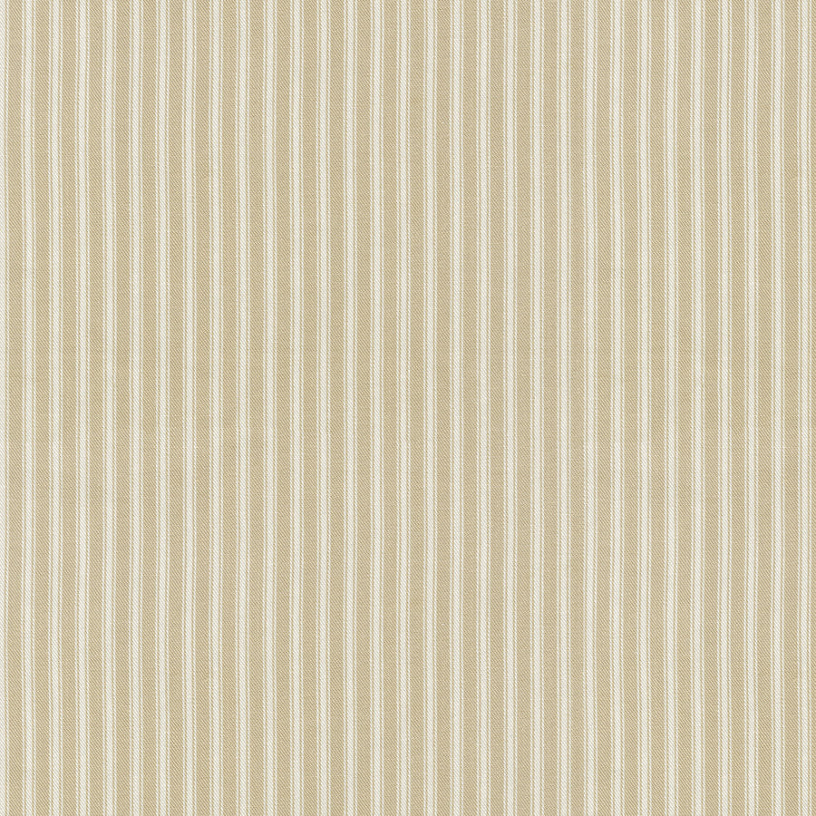 Little White Line - Sand