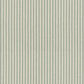 Little White Line - Seaglass