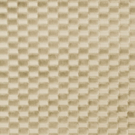 Pillow Sham in Check Mate - Cream