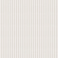 Sand Dollar Stripes