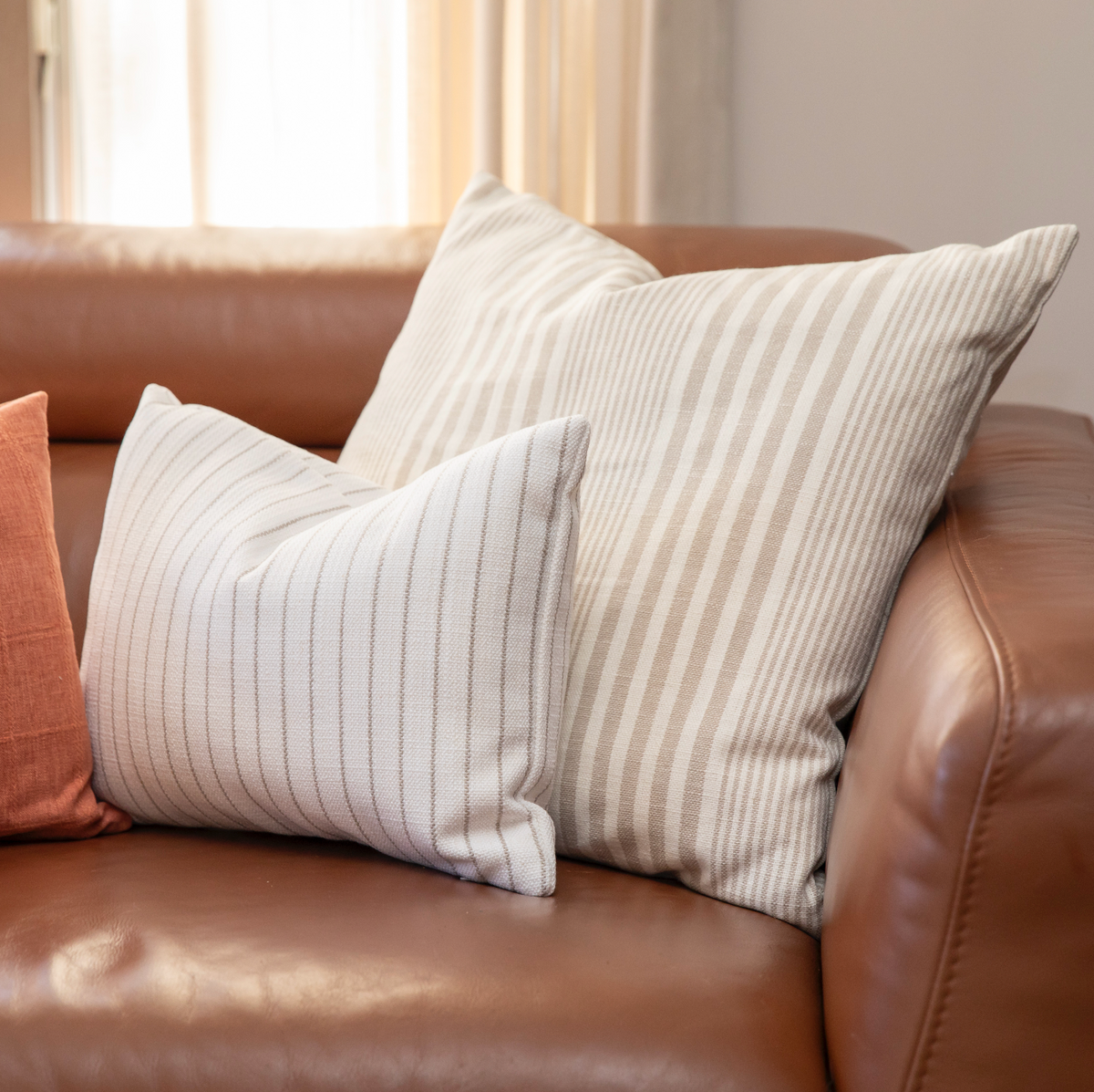 Tulip Roman Shade in All Lined Up - Shell