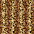 Tiger - Bold