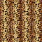 Tiger - Bold