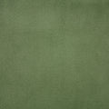 Classic Velvet - Aloe