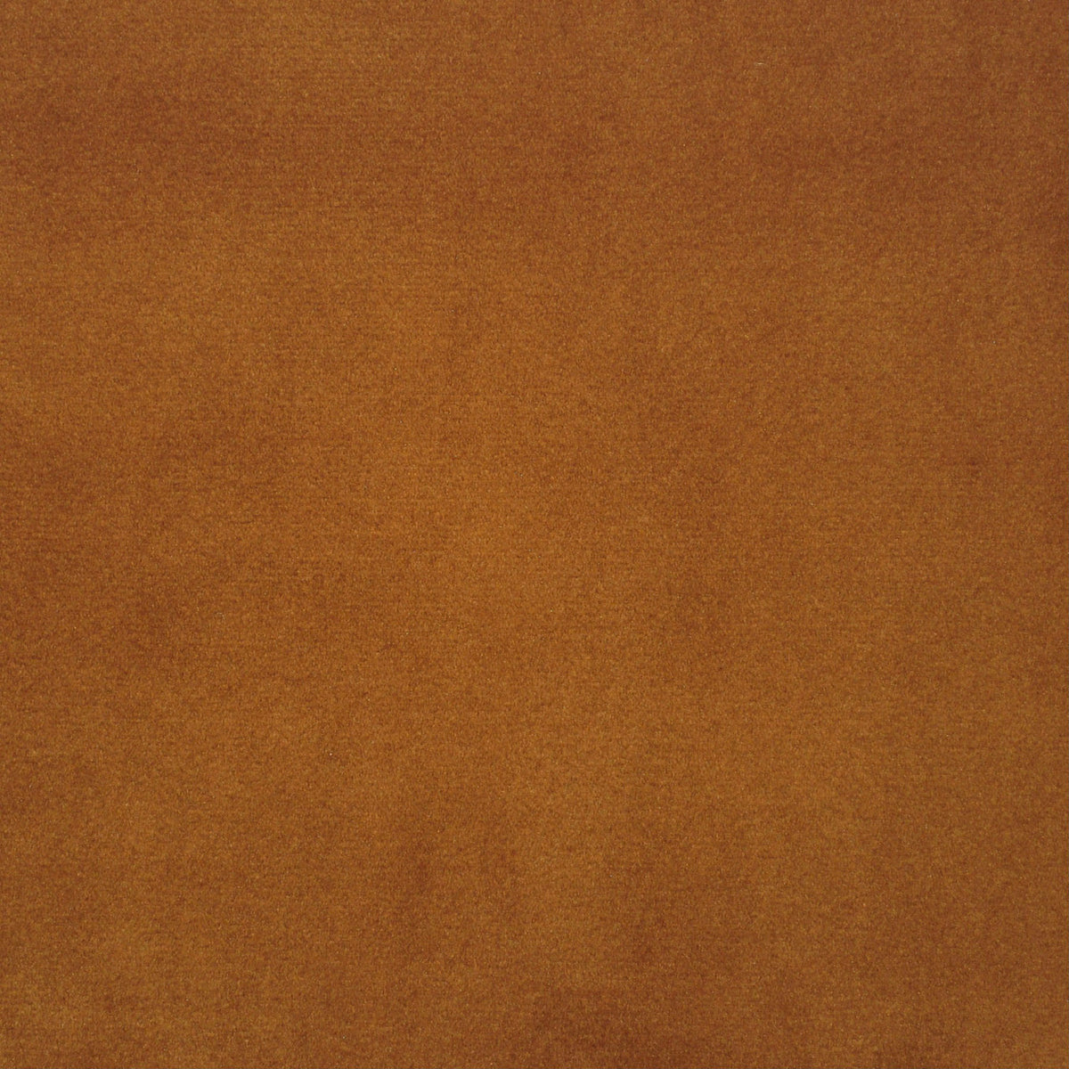 Euro Pleat Drapery in Classic Velvet - Amber