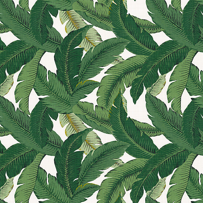 Be Leaf It - Palm