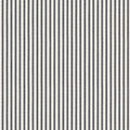 Little White Line - Black