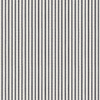 Little White Line - Black