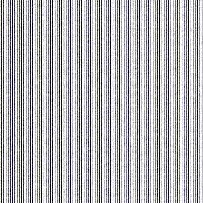 Little White Line - Black