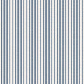 Little White Line - Blueberry