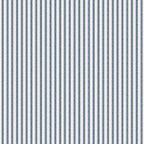 Little White Line - Blueberry