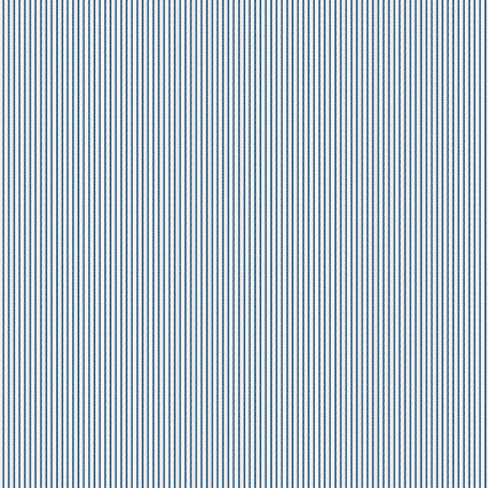 Little White Line - Blueberry