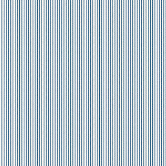 Little White Line - Blueberry