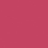 Fabric Swatch: Sunbrella® Canvas - Hot Pink