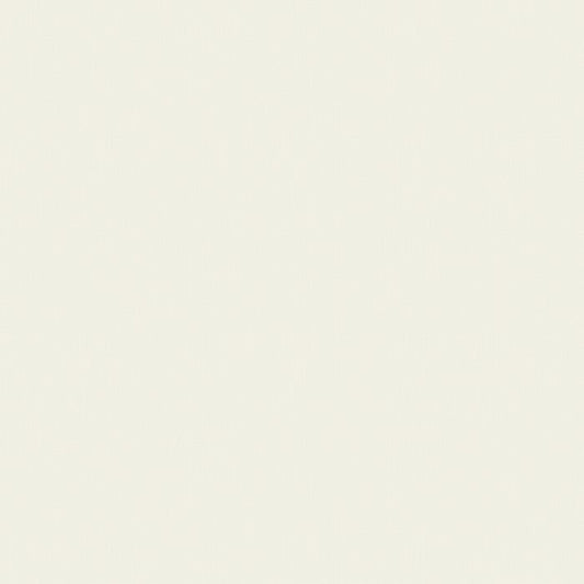 Sunbrella® Canvas - White